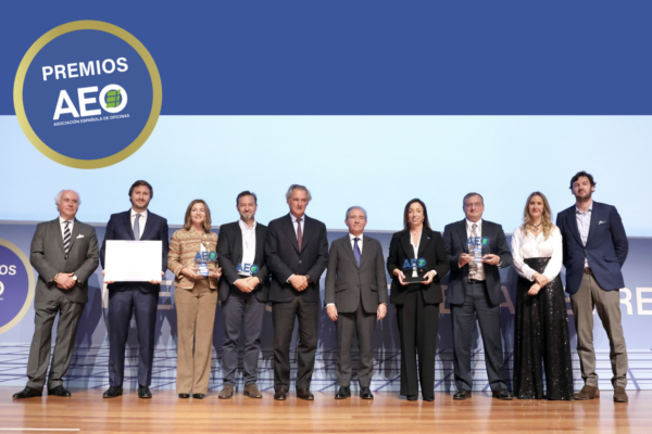 IX Edición Premios AEO
